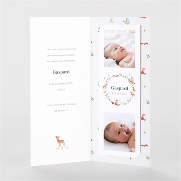 Faire-part naissance gaiement duo magnet - Intérieur du faire-part