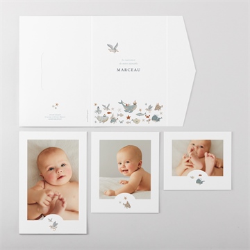 Faire-part naissance mon amie la baleine - Vue ensemble extérieur