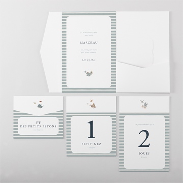 Faire-part naissance mon amie la baleine - Vue d'ensemble intérieur