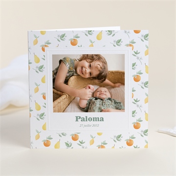 Faire-part naissance motif fruité