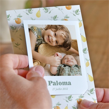 Faire-part naissance motif fruité duo - Mise en situation