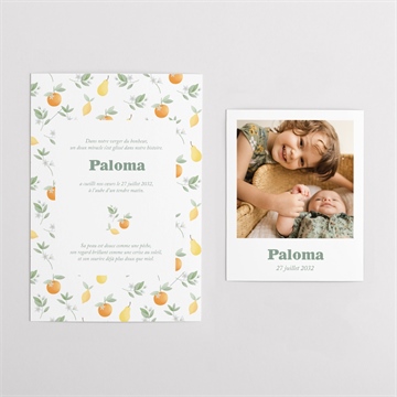 Faire-part naissance motif fruité duo - Vue d'ensemble