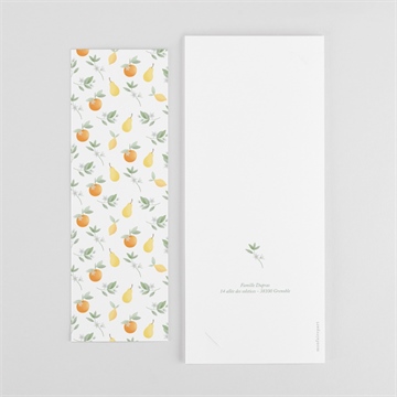 Faire-part naissance motif fruité photomaton - Dos du faire-part