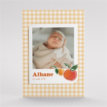 Faire-part naissance vichy fruité duo