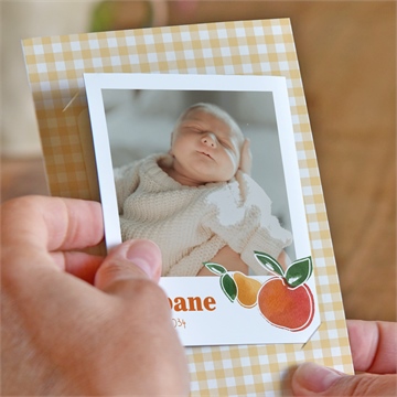 Faire-part naissance vichy fruité duo - Mise en situation