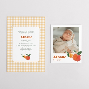 Faire-part naissance vichy fruité duo - Vue d'ensemble