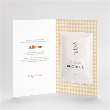 Faire-part naissance vichy fruité avec graines - Mise en situation