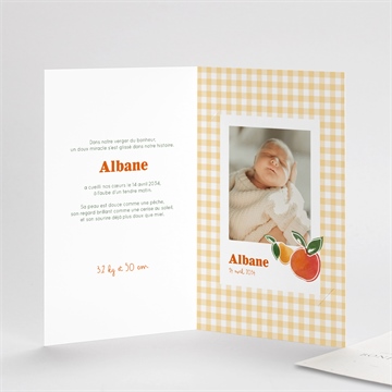 Faire-part naissance vichy fruité avec graines - Intérieur du faire-part