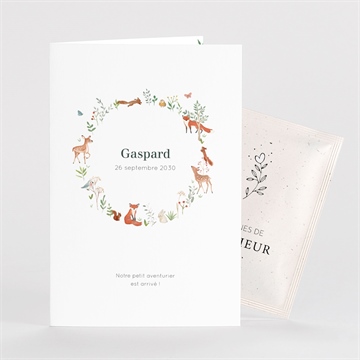 Faire-part naissance gaiement avec graines