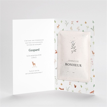 Faire-part naissance gaiement avec graines - Mise en situation