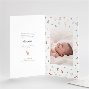 Faire-part naissance gaiement avec graines - Intérieur du faire-part