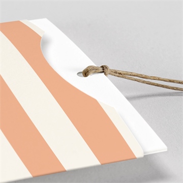 Faire-part naissance rayures estivales pochette duo - Détail du faire-part