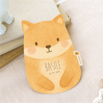 Faire-part naissance renard mondoudou - Mise en situation