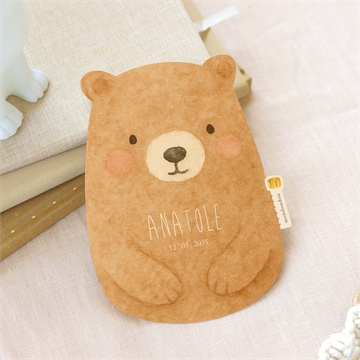 Faire-part naissance ours mondoudou
