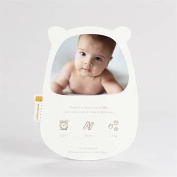 Faire-part naissance ours mondoudou - Dos du faire-part