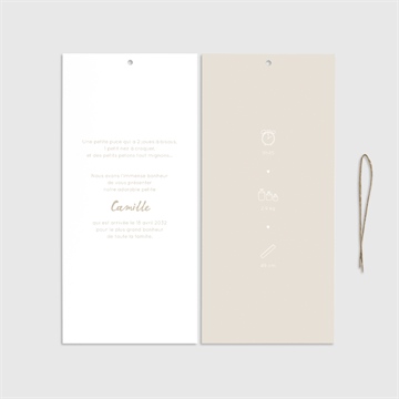 Faire-part naissance vichy pochette duo - Cartes intérieures recto