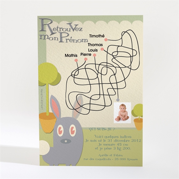 Faire-part naissance réf. N21001 réf.N21001