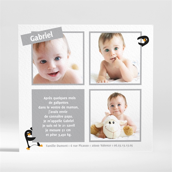 Faire Part Naissance Notre Petit Pingouin Monfairepart Com