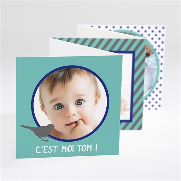 Faire-part naissance Bel oiseau sur fond bleu vert réf.N80004