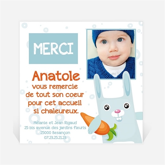 Remerciement naissance lapin carotte