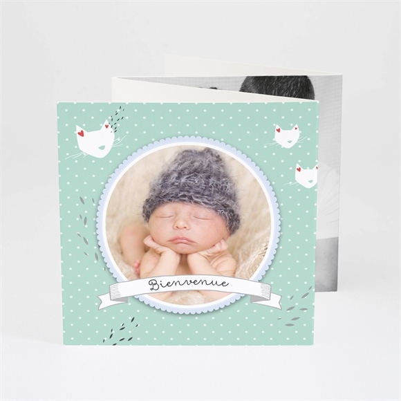 Fairepart naissance Mon petit chat photo