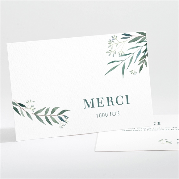 Remerciement naissance all in one végétation