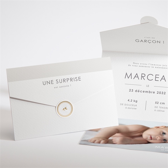 Faire-part naissance Surprise All in one réf.N97122