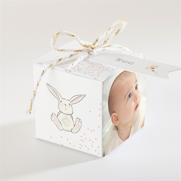 Boîte de dragées baptême Petit Lapin Baptême réf.N340340