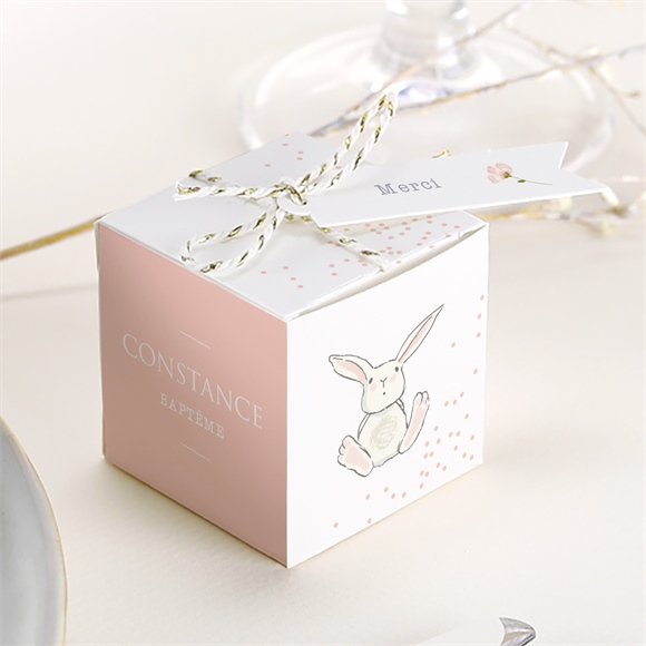 Boîte de dragées baptême petit lapin baptême
