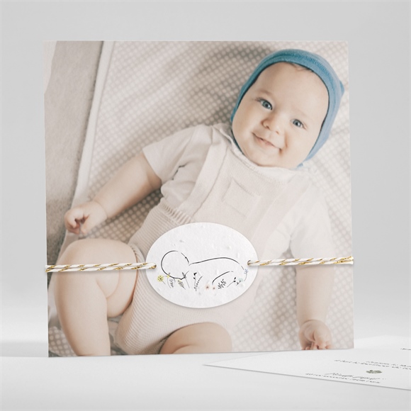 Faire-part naissance Présentation ensemencé réf.N351297