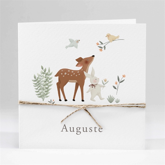 Faire-part naissance petits compères plié