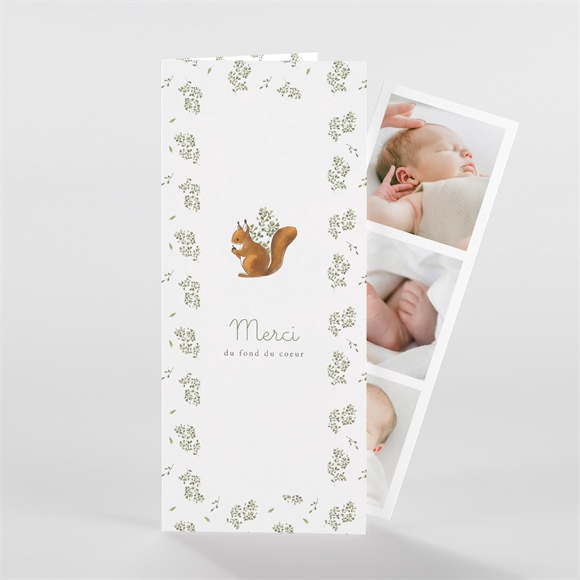 Remerciement naissance écureuil