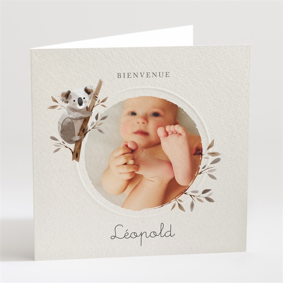 Faire-part naissance mon petit koala
