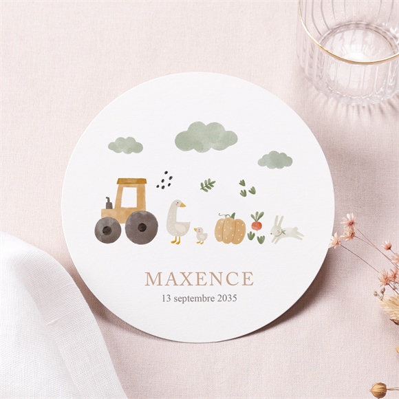 Faire-part naissance dans la ferme rond