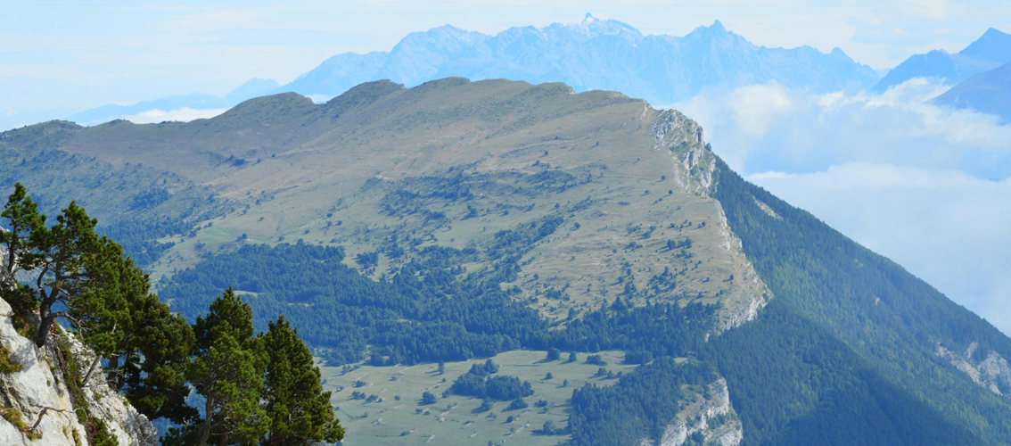 Notre territoire