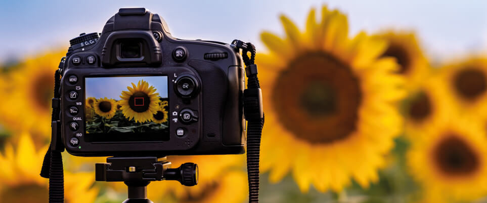 La qualité d'une photo